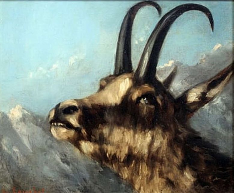 Un fotografo naturalista assiste, suo malgrado, ad una battuta di caccia al camoscio ed ha modo di vedere, in prima persona, il comportamento di tre cacciatori che pensano di non essere visti. Una storia di vita vissuta raccontata direttamente dal protagonista.