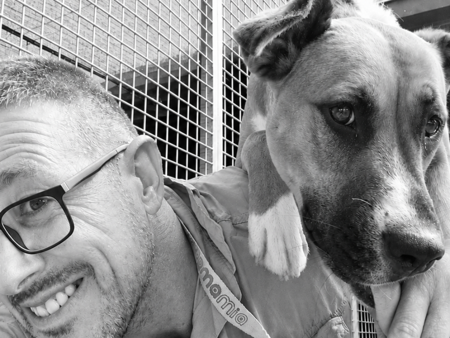 Nicola Paoli educatore cinofilo - addestratore cani Trento - Come lavoro