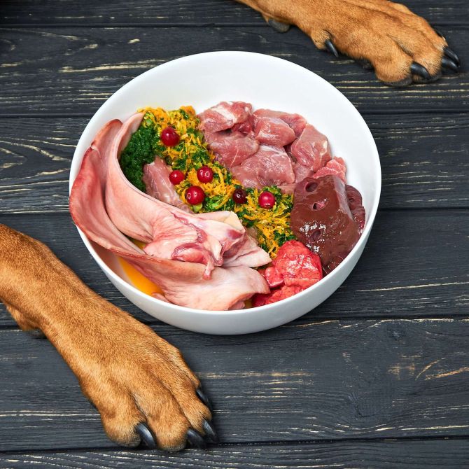 Nicola Paoli educatore cinofilo - addestratore cani Trento - Alimentazione cani - Reico cibo per cani di qualità