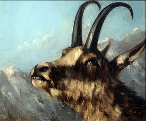Un fotografo naturalista assiste, suo malgrado, ad una battuta di caccia al camoscio ed ha modo di vedere, in prima persona, il comportamento di tre cacciatori che pensano di non essere visti. Una storia di vita vissuta raccontata direttamente dal protagonista.