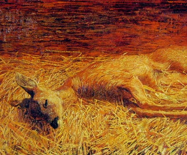 Un bambino segue il padre durante una battuta di caccia e sperimenta, in prima persona, cos’è realmente la caccia. Una storia di vita vissuta raccontata attraverso gli occhi di un bambino.